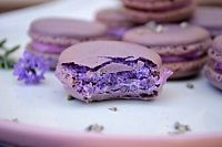 Сироп для кофе и коктейлей Herbarista Lavender (Лаванда) 700 мл