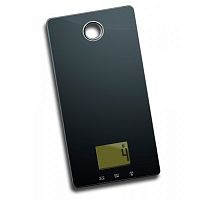 Весы Zigmund & Shtain DS-15 TB