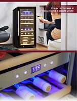 Винный шкаф Cold Vine C24-KBF2
