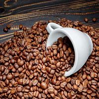 Кофе в зернах Astros Mexico Chiapas 100% арабика 1 кг