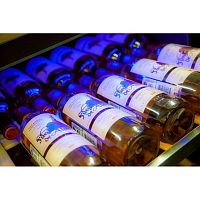 Винный шкаф Cold Vine C110-KBT2