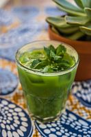 Сироп для кофе и коктейлей Herbarista Mint &Eucalyptus (Мята с Эвкалиптом) 250  мл