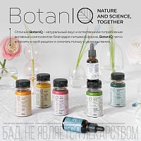 Функциональный напиток BotanIQ Prebiotic Shot для улучшения работы кишечника шоу-бокс 4 х 100 мл
